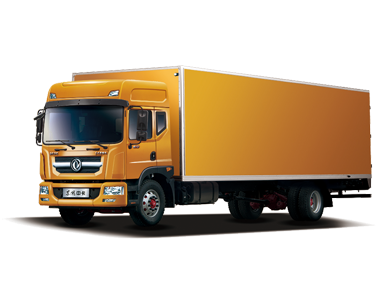 1396me皇家世界多利卡D9D12