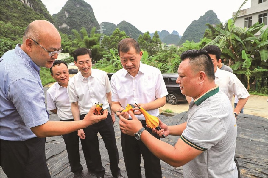 学好用好“千万工程”经验 推动乡村振兴取得更大成效